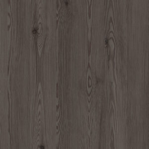 H3406 ST38 Anthracite Mountain Larch