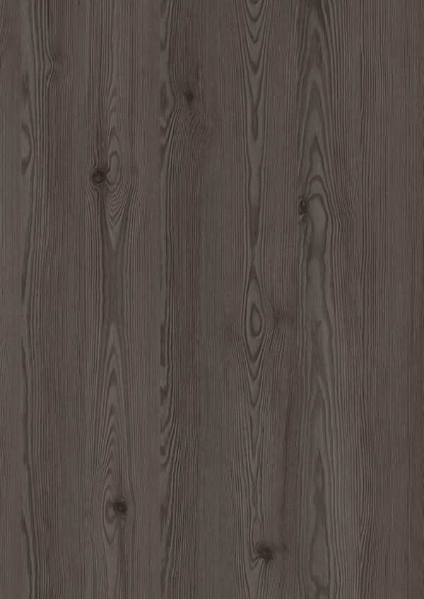 H3406 ST38 Anthracite Mountain Larch