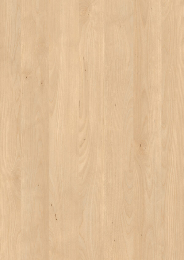 H3840 ST9 Natural Mandal Maple