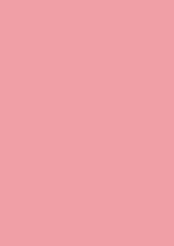 U363 ST9 Flamingo Pink