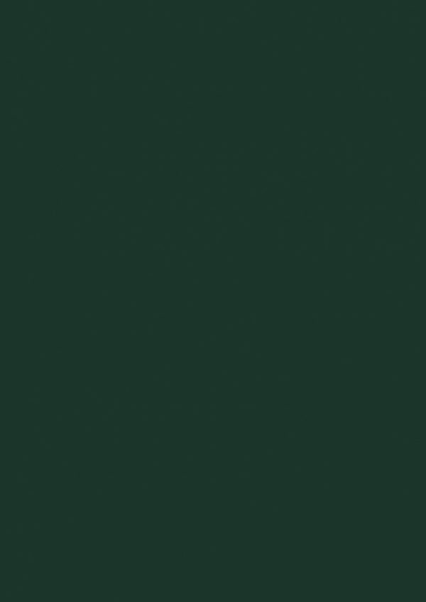 U699 ST9 Fir Green